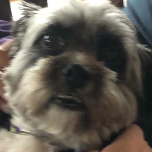 Meet your Posher, Katy